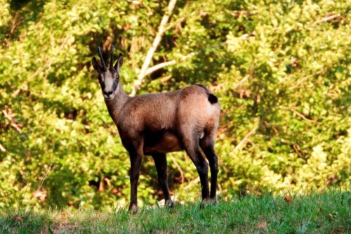 fdm 10.22. www.tjv.at | Foto: R. Kofler