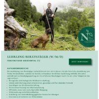 Miniaturansicht für das Anzeigenbild