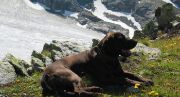 05_2009-08-20 Foto tjv (28)