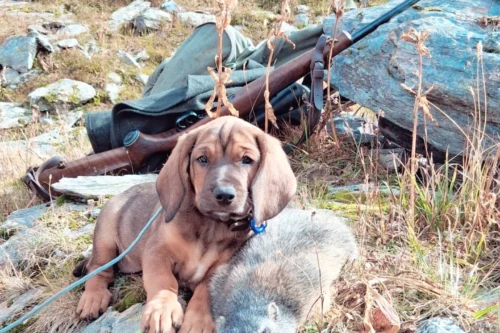 Lisa Steinberger 0225 (3)